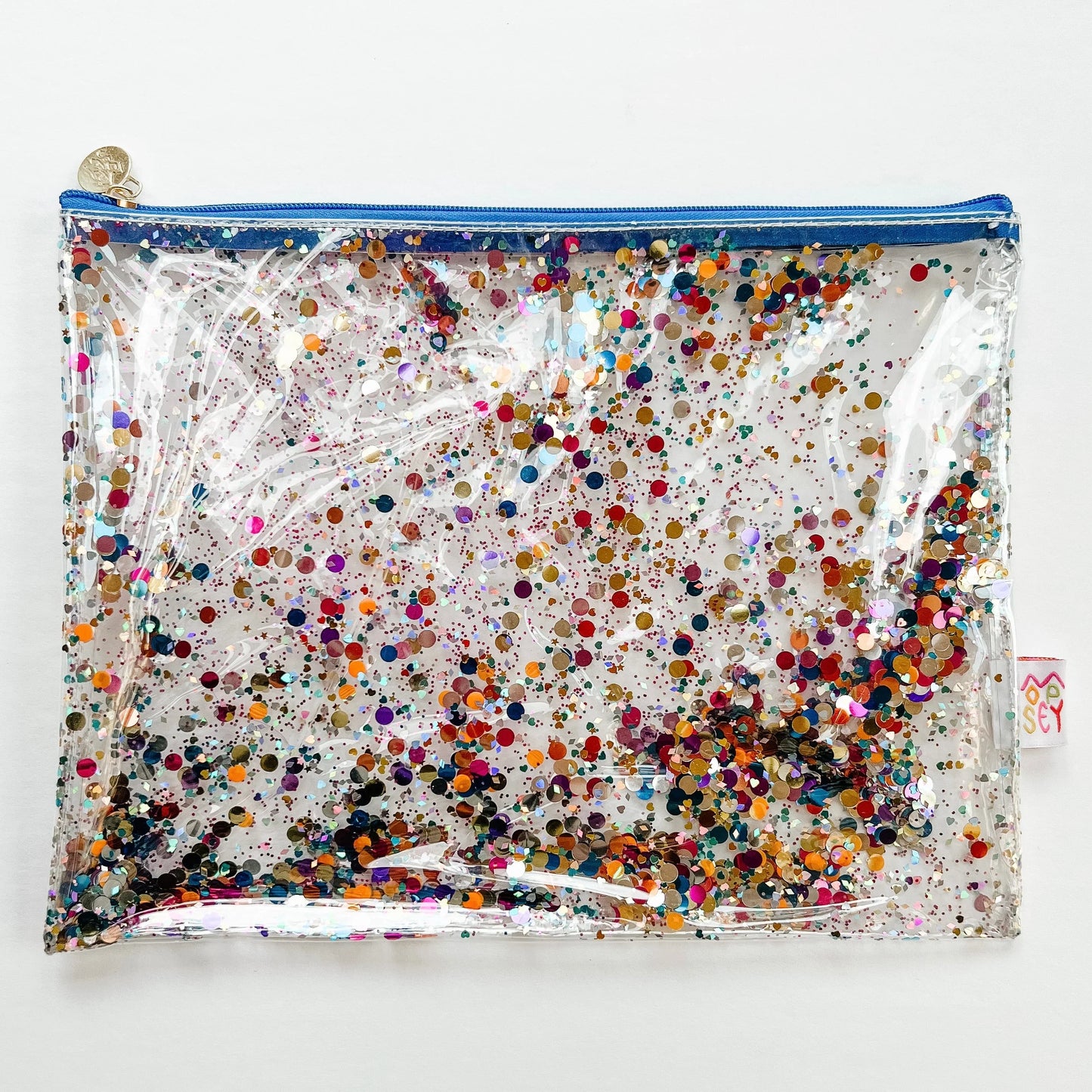 Medium Project Bag - Glitter