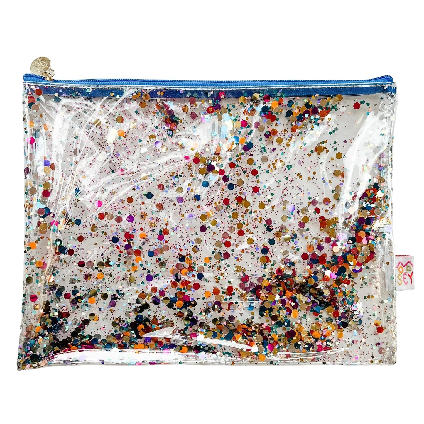 Medium Project Bag - Glitter