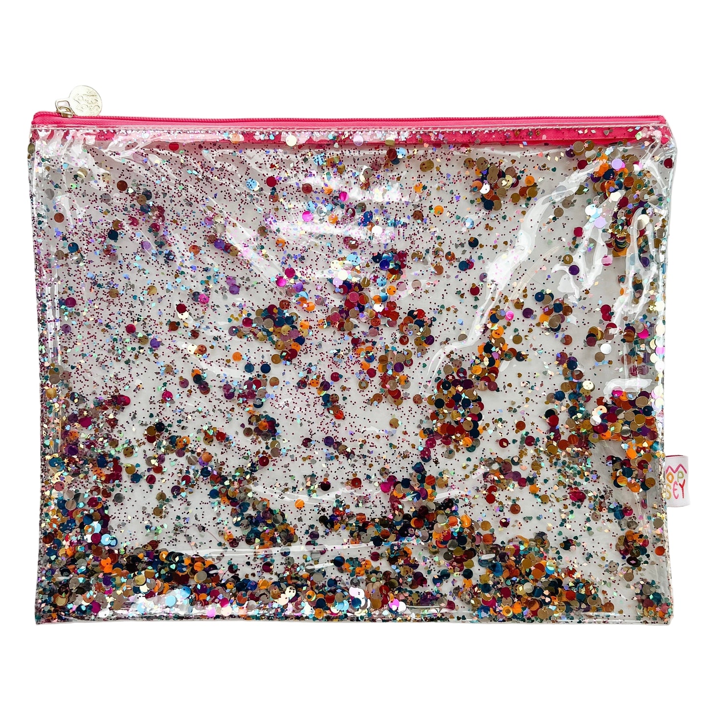 Large Project Bag - Glitter