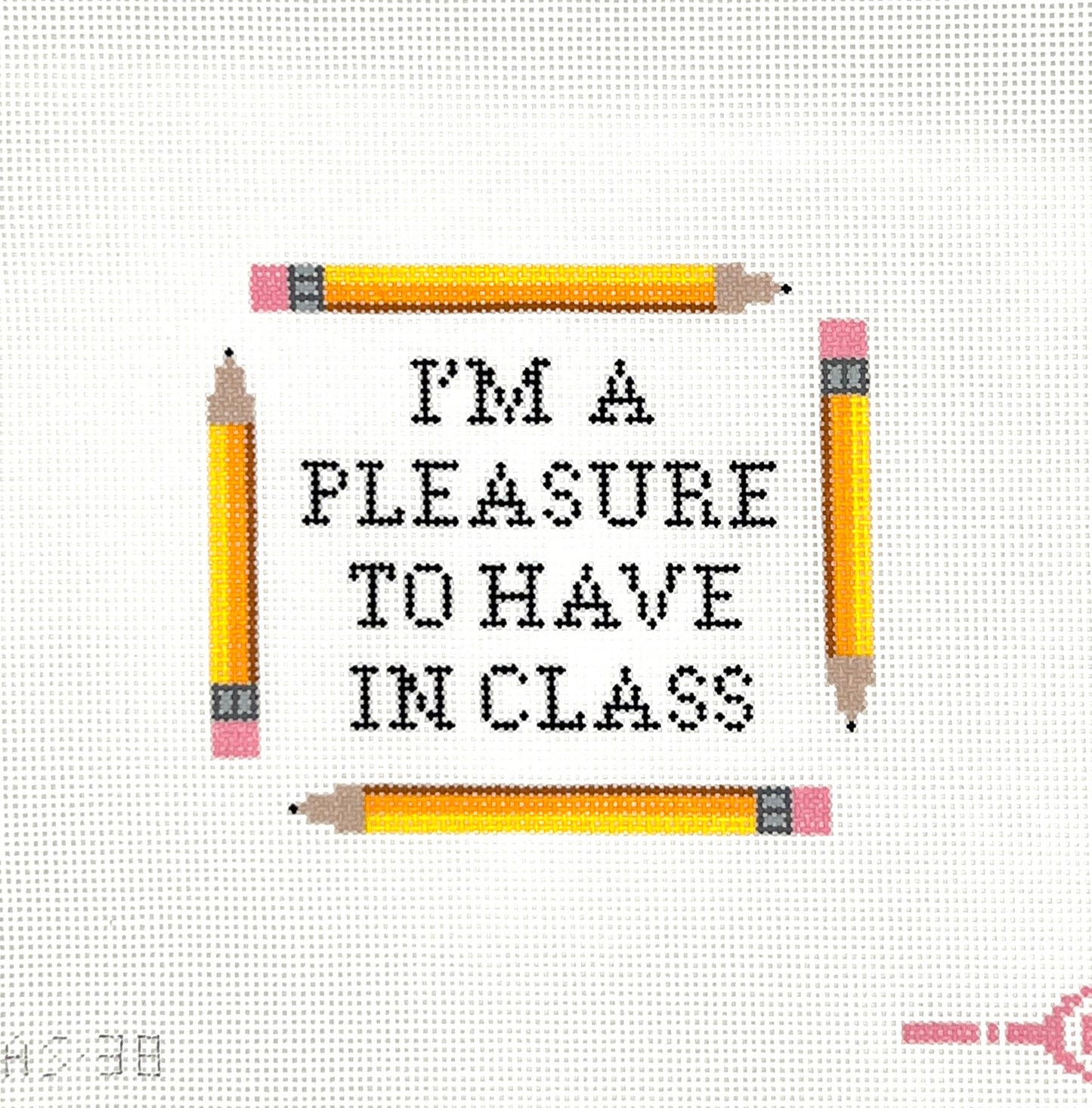 I'm a Pleasure to Have in Class Needlepoint Canvas