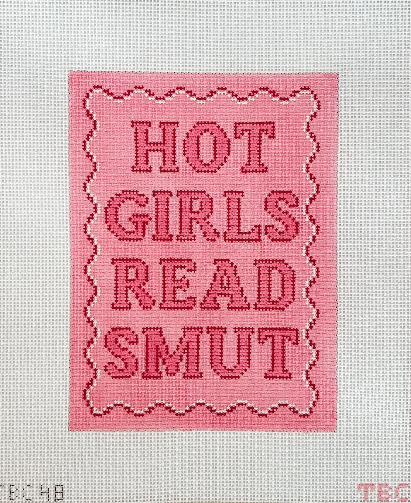 Hot Girls Read Smut Kindle Cover Needlepoint Canvas